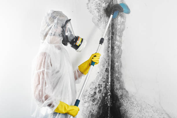 Best HVAC Mold Inspection and Cleaning  in White Sands, NM