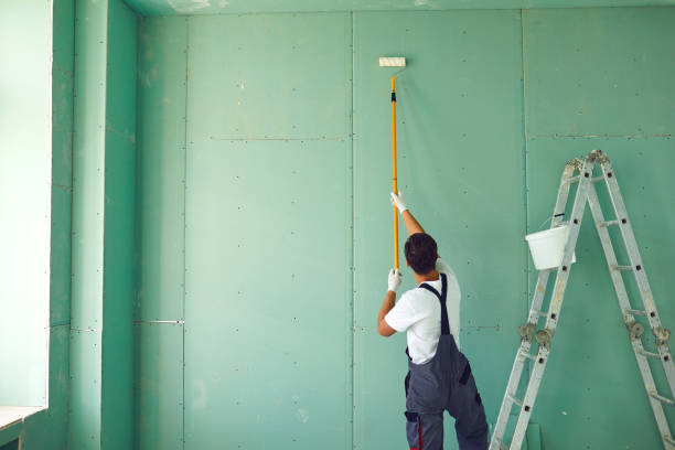  White Sands, NM Mold Removal Pros