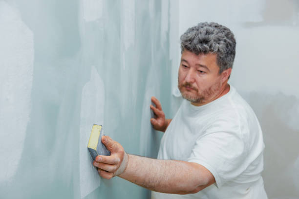 Best Mold Documentation for Insurance Claims  in White Sands, NM
