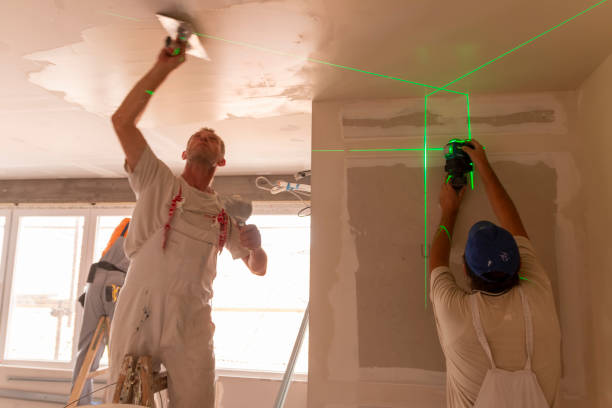 Best Post-Construction Mold Inspection  in White Sands, NM