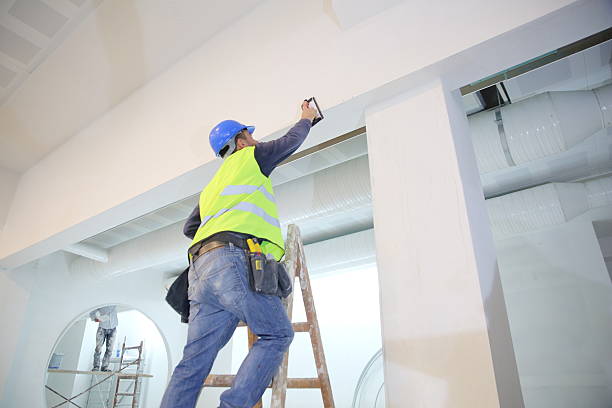 Reliable White Sands, NM Mold Removal Solutions